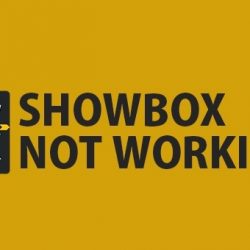 Showbox not Working